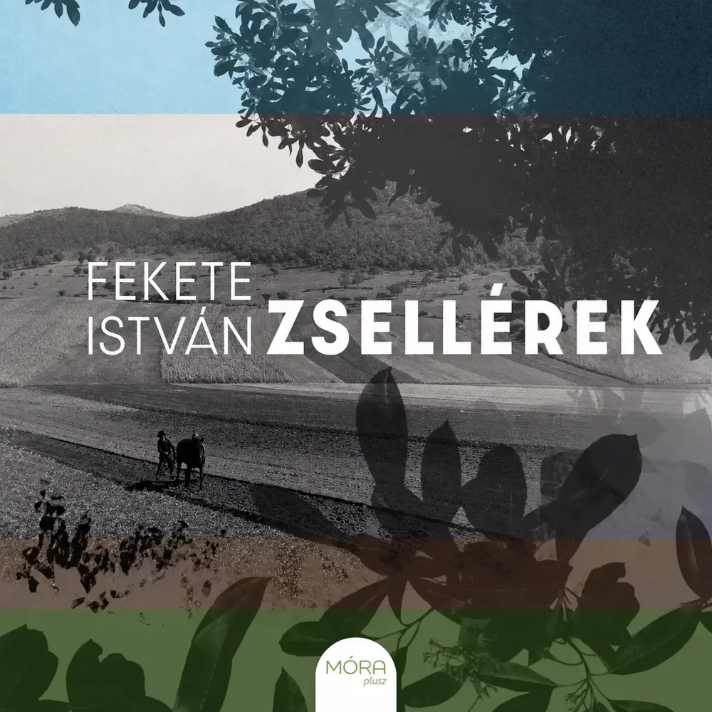 Zsellérek - Hangoskönyv