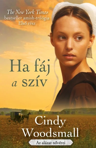 A hangoskönyv borítója