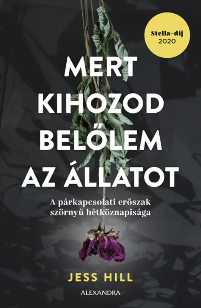 A hangoskönyv borítója
