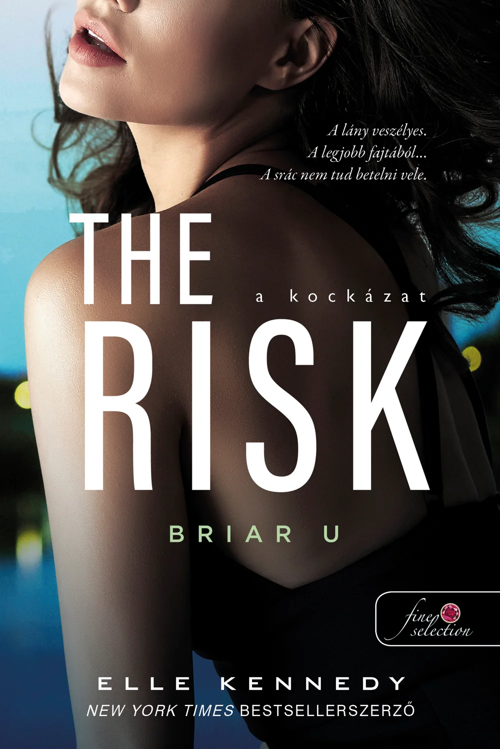 The Risk – A kockázat (Briar U 2.) könyv borító
