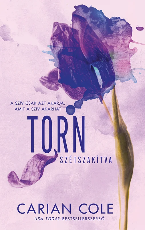 Torn - Szétszakítva - Hangoskönyv