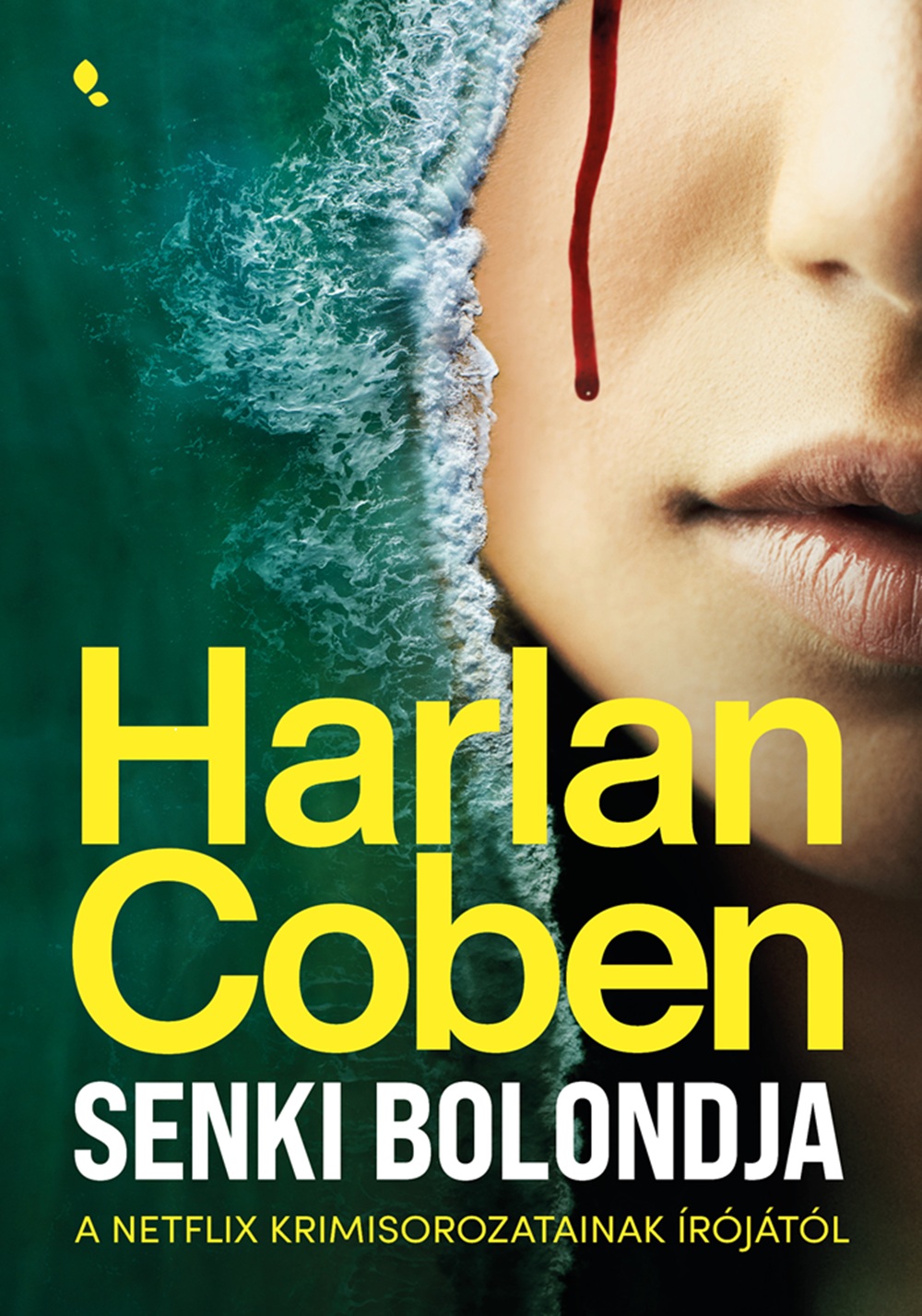 Senki bolondja könyv borító