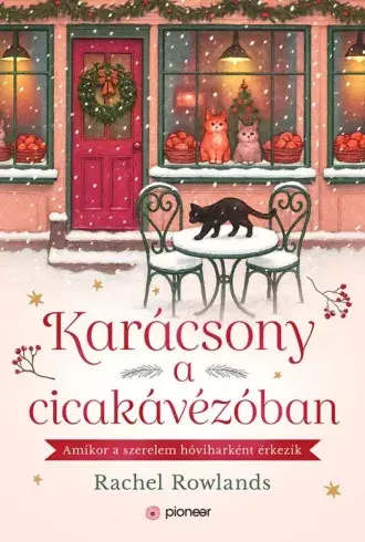 A hangoskönyv borítója
