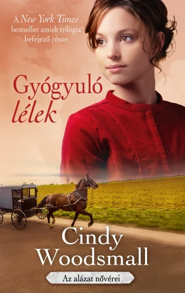 A hangoskönyv borítója