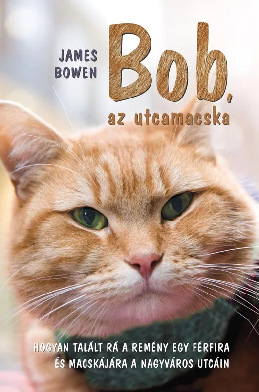 A hangoskönyv borítója