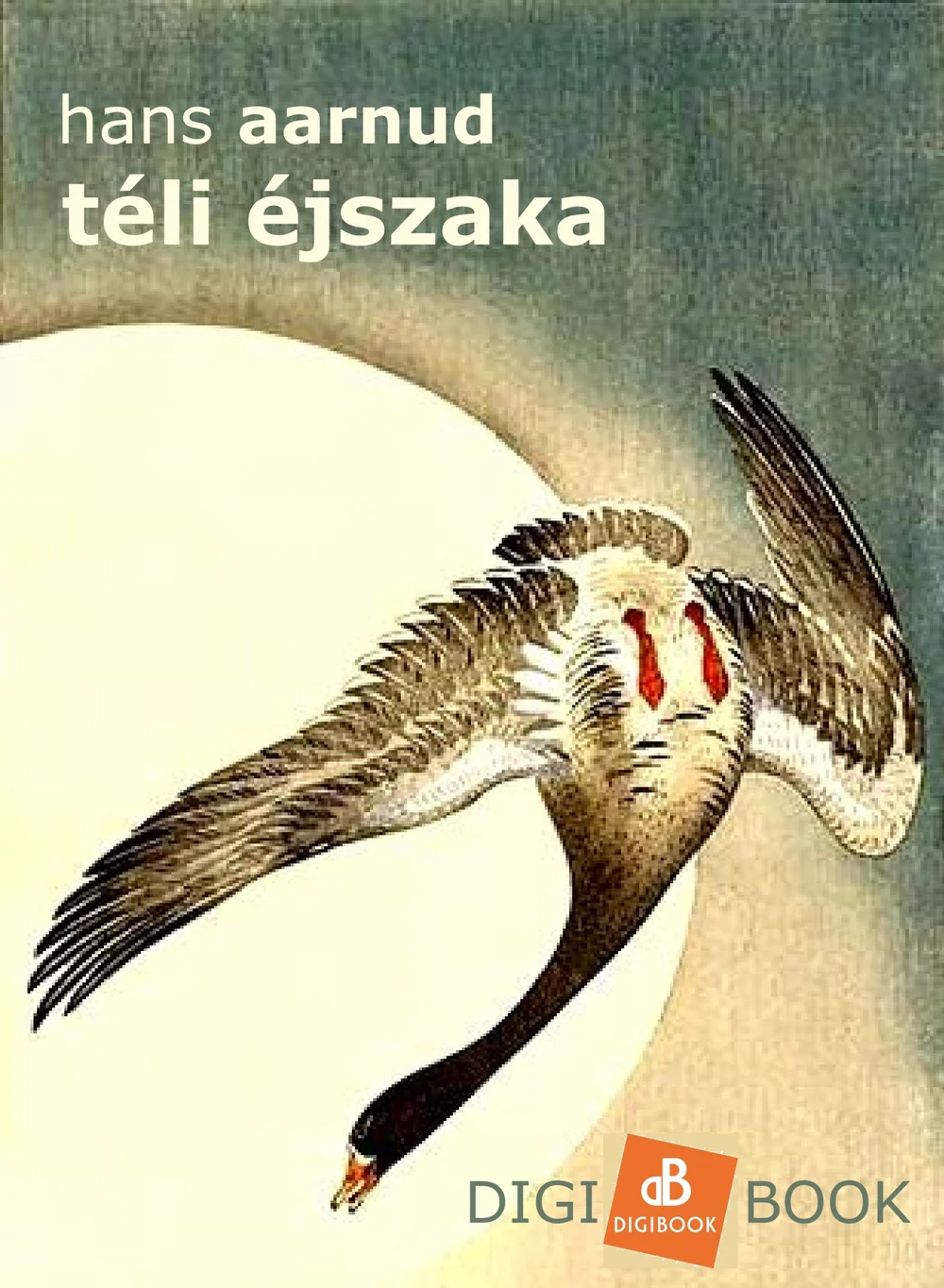 A hangoskönyv borítója