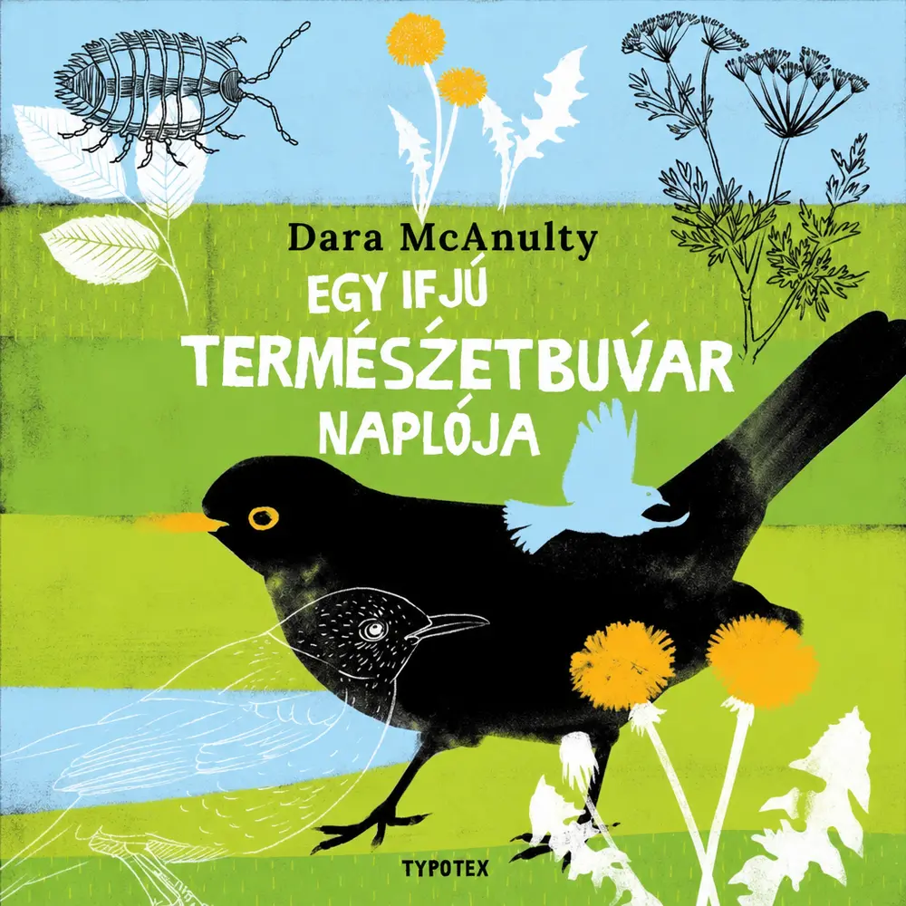 A hangoskönyv borítója
