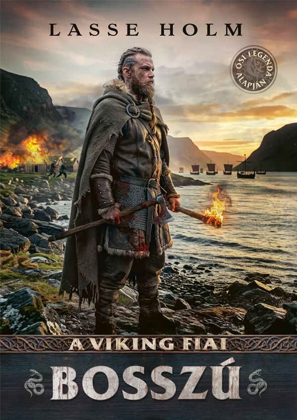 A viking fiai könyv borító
