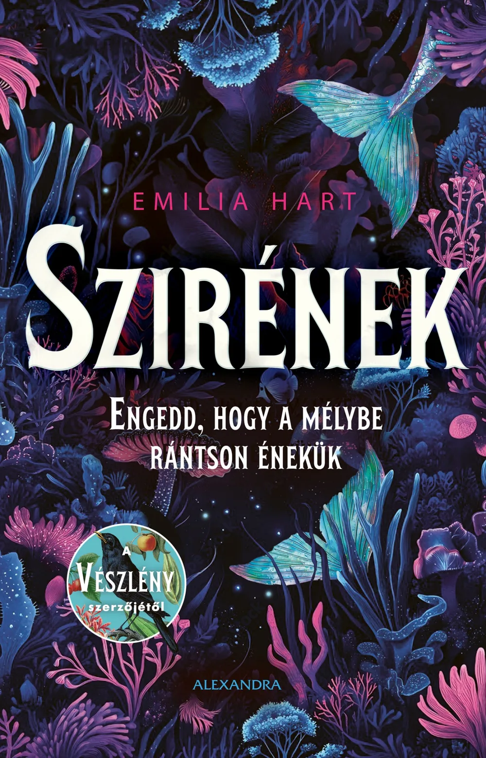 A hangoskönyv borítója