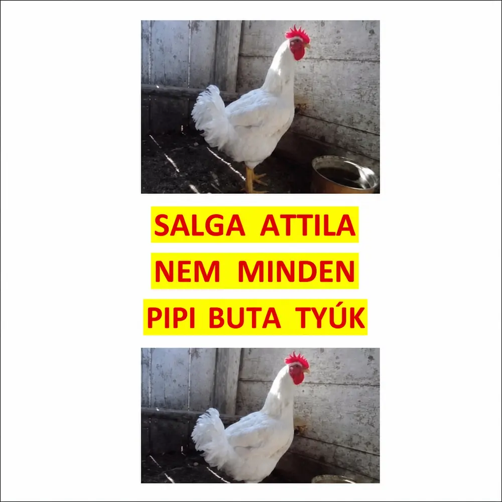 Nem minden Pipi buta tyúk - Hangoskönyv