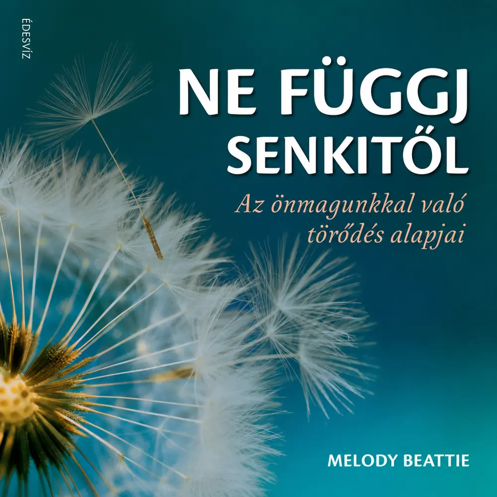A hangoskönyv borítója