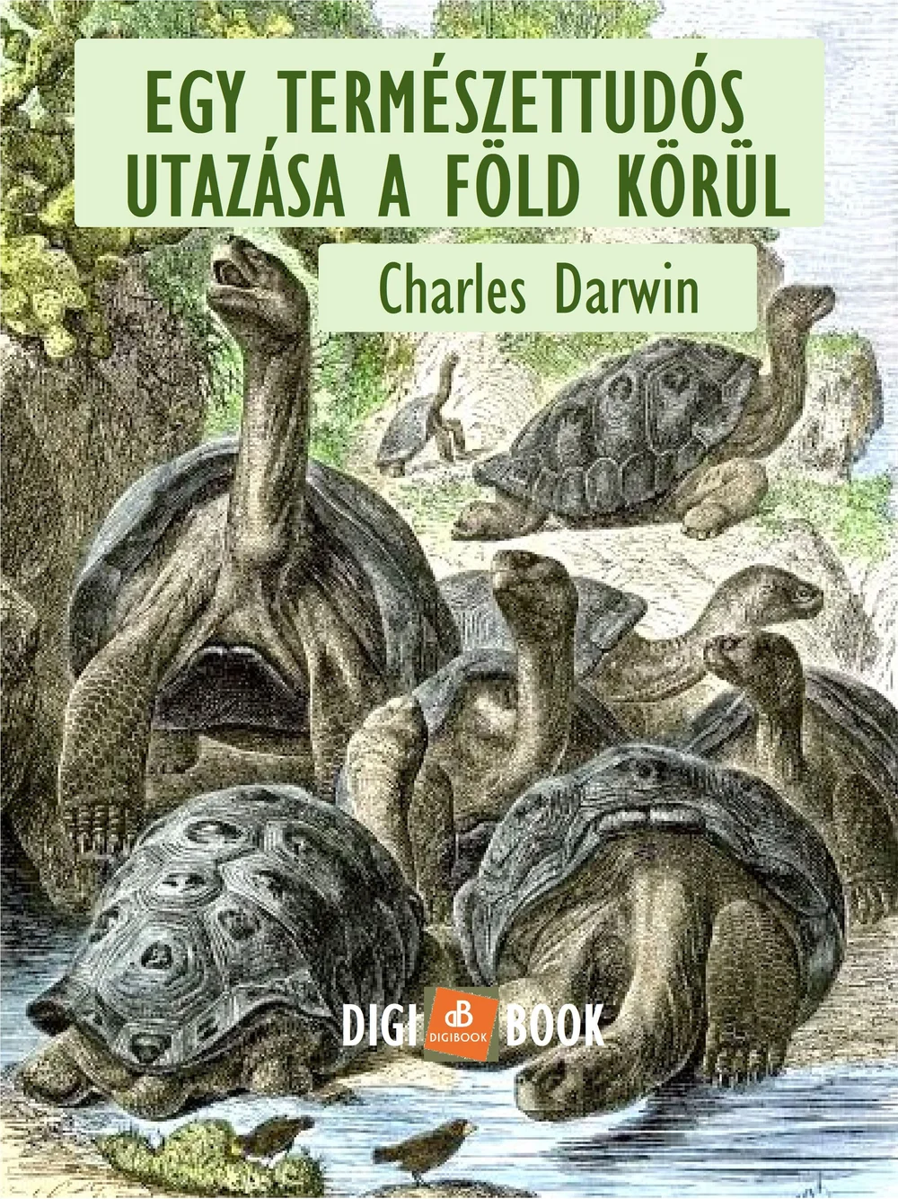A hangoskönyv borítója