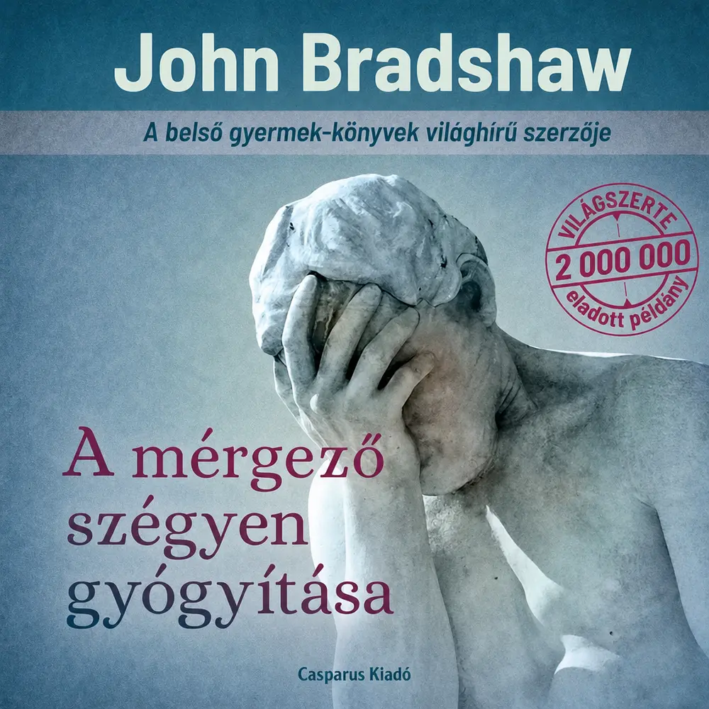 A hangoskönyv borítója