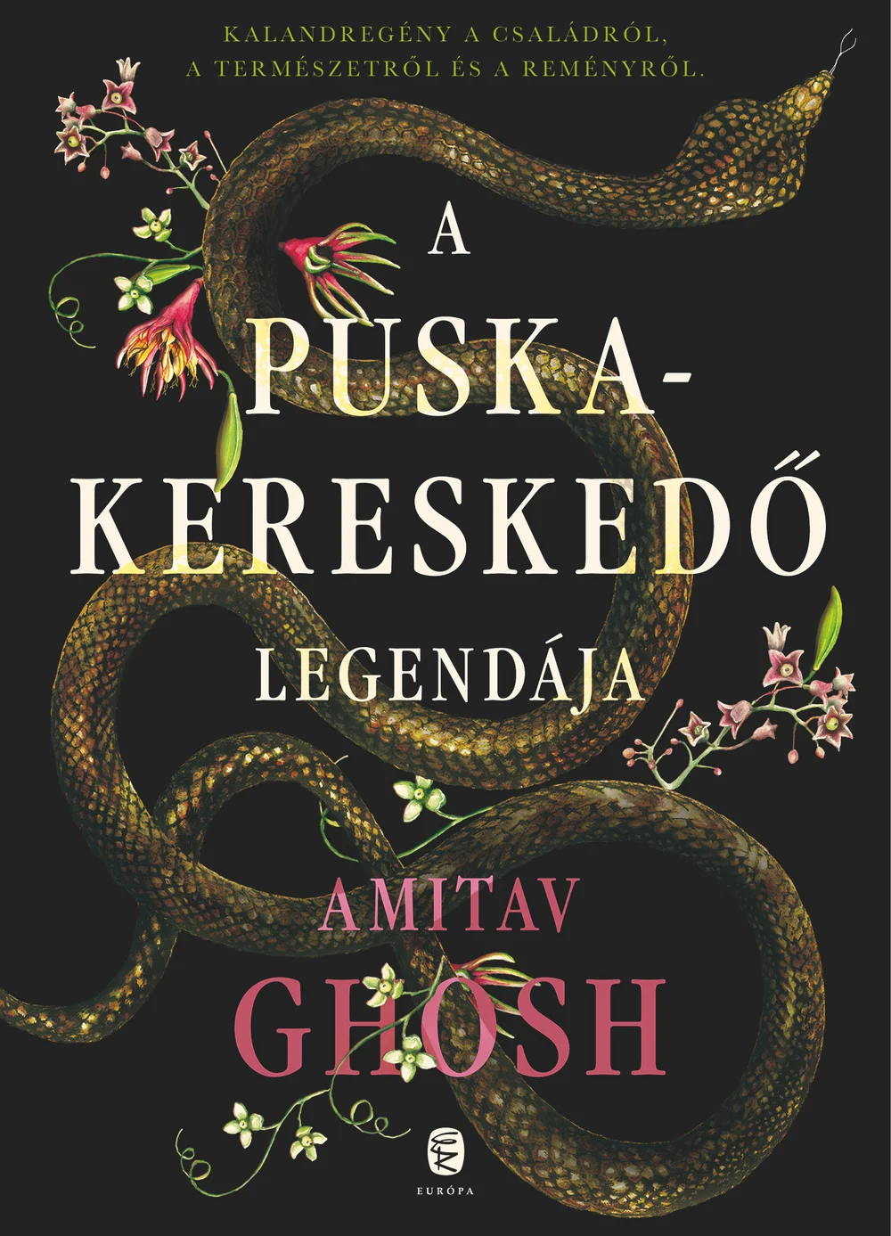 A hangoskönyv borítója