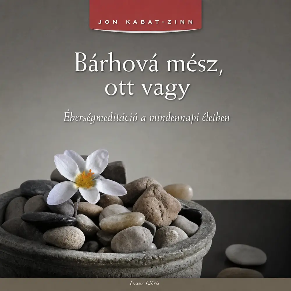 A hangoskönyv borítója