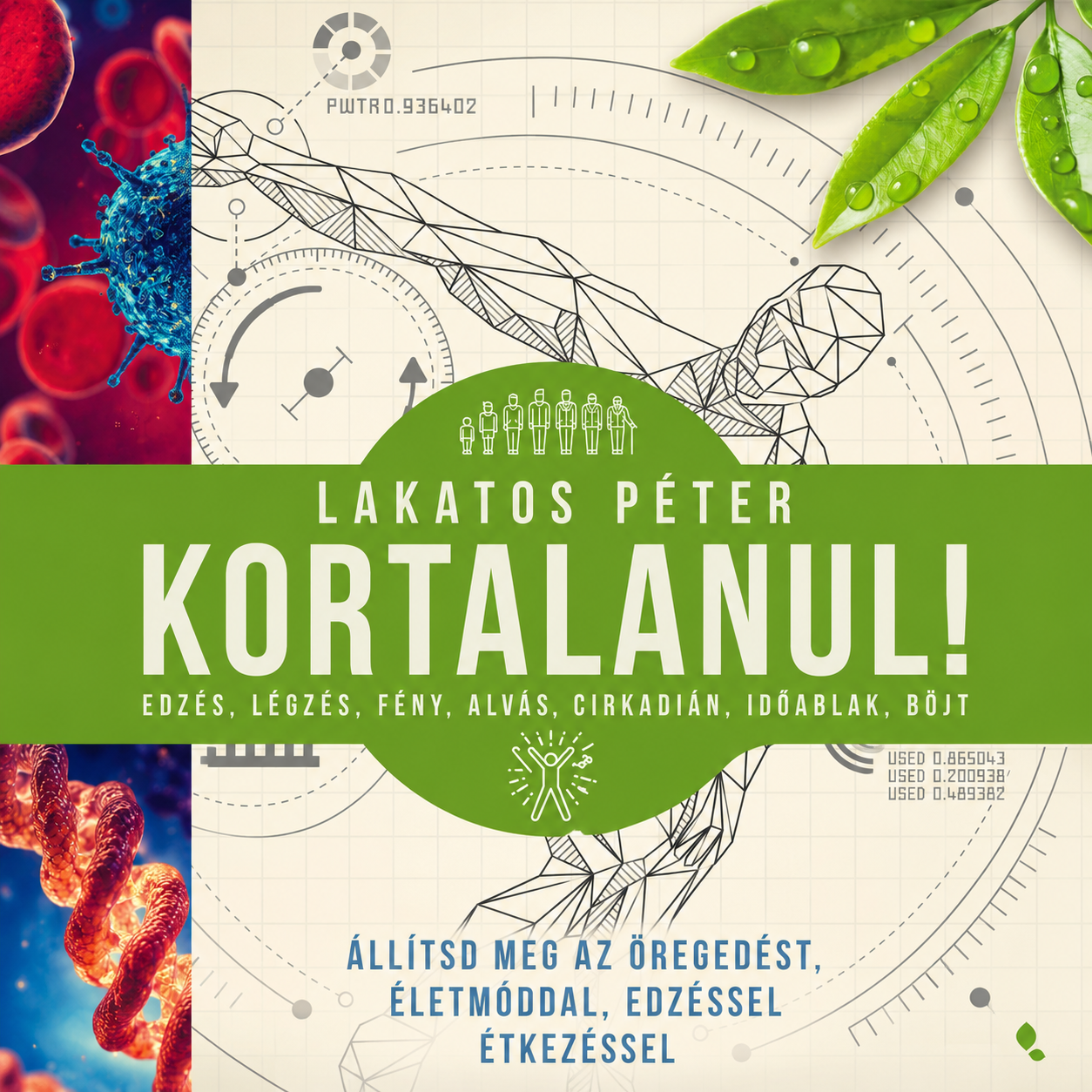Kortalanul! könyv borító