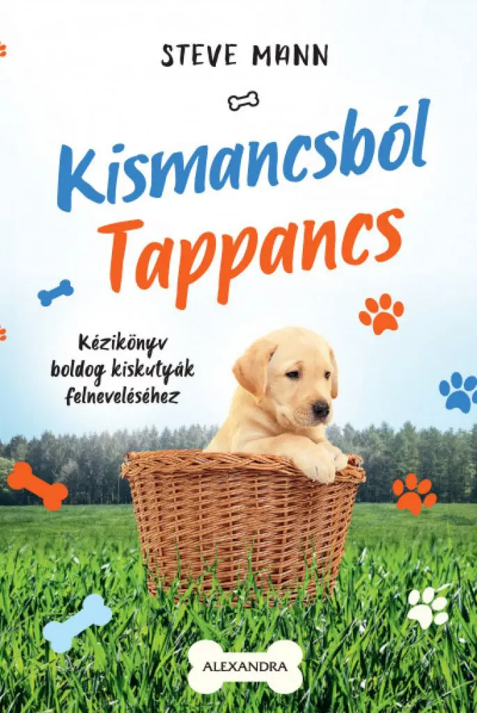 A hangoskönyv borítója