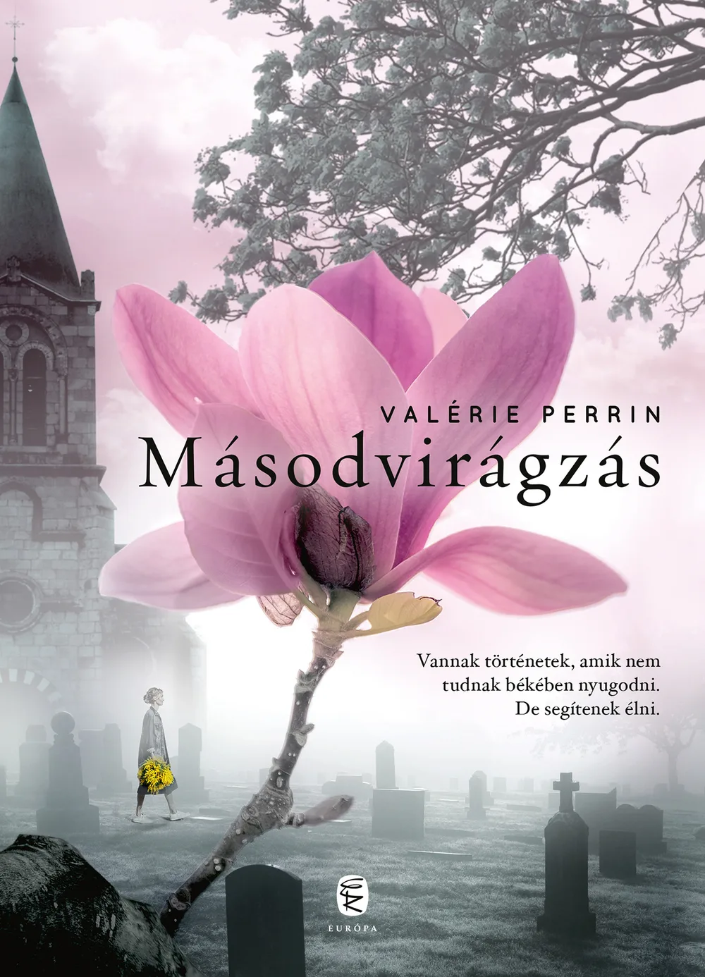 A hangoskönyv borítója