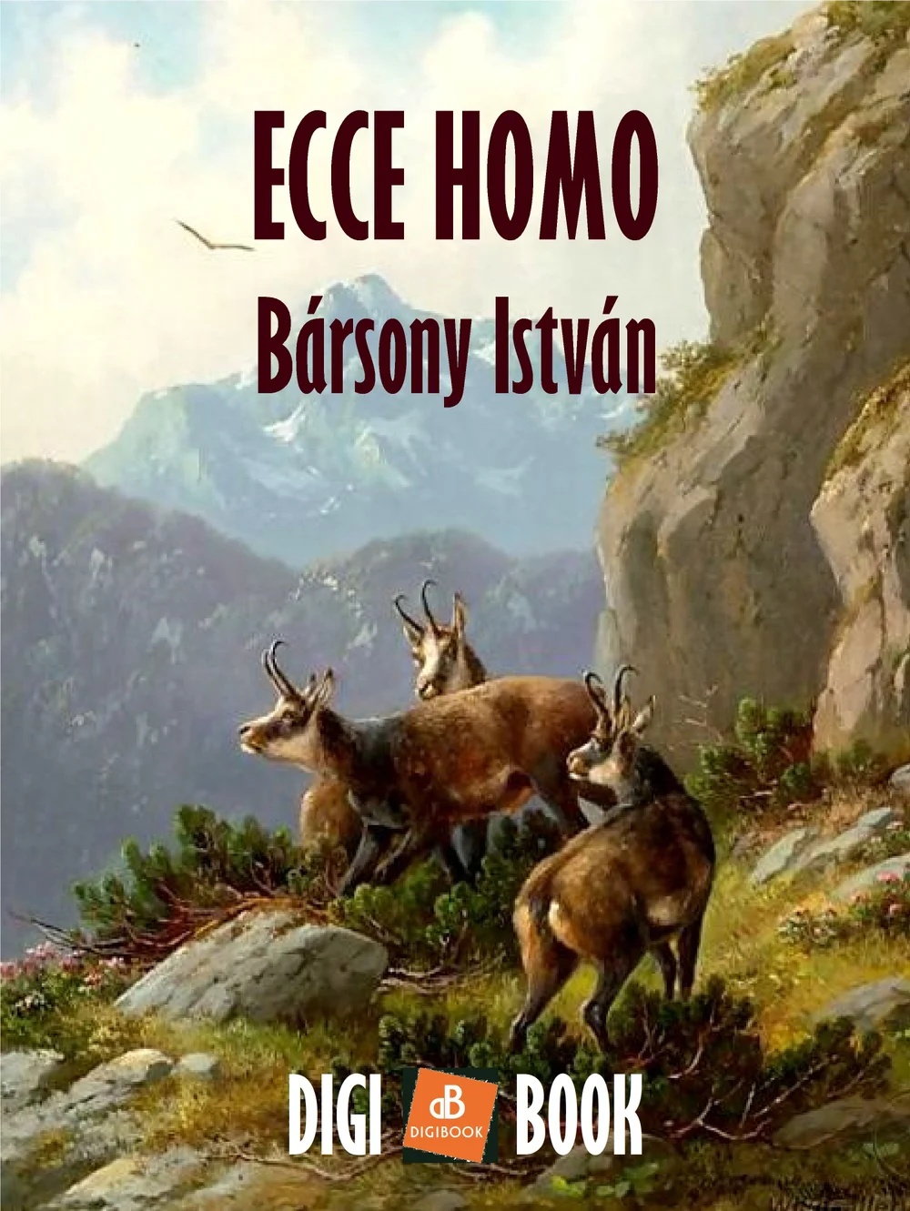 A hangoskönyv borítója