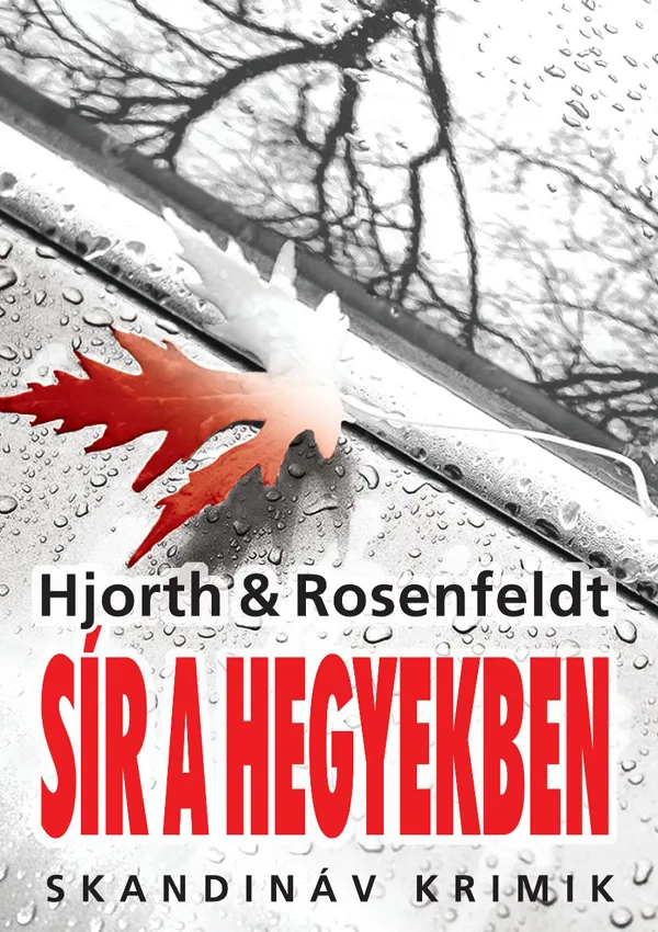 A hangoskönyv borítója