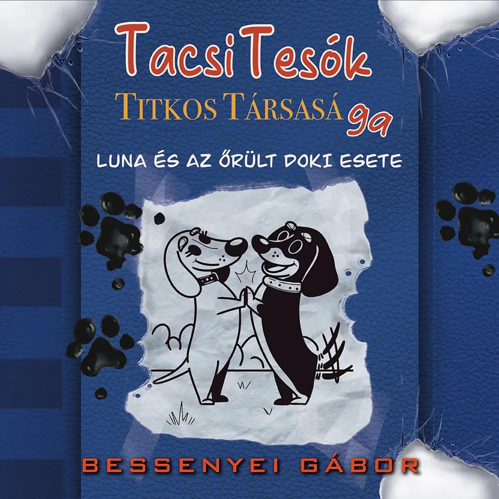 TacsiTesók Titkos Társasága 1.  könyv borító