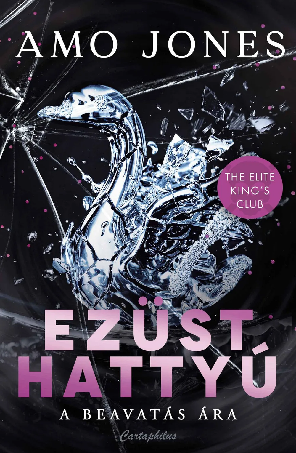 Ezüst hattyú könyv borító
