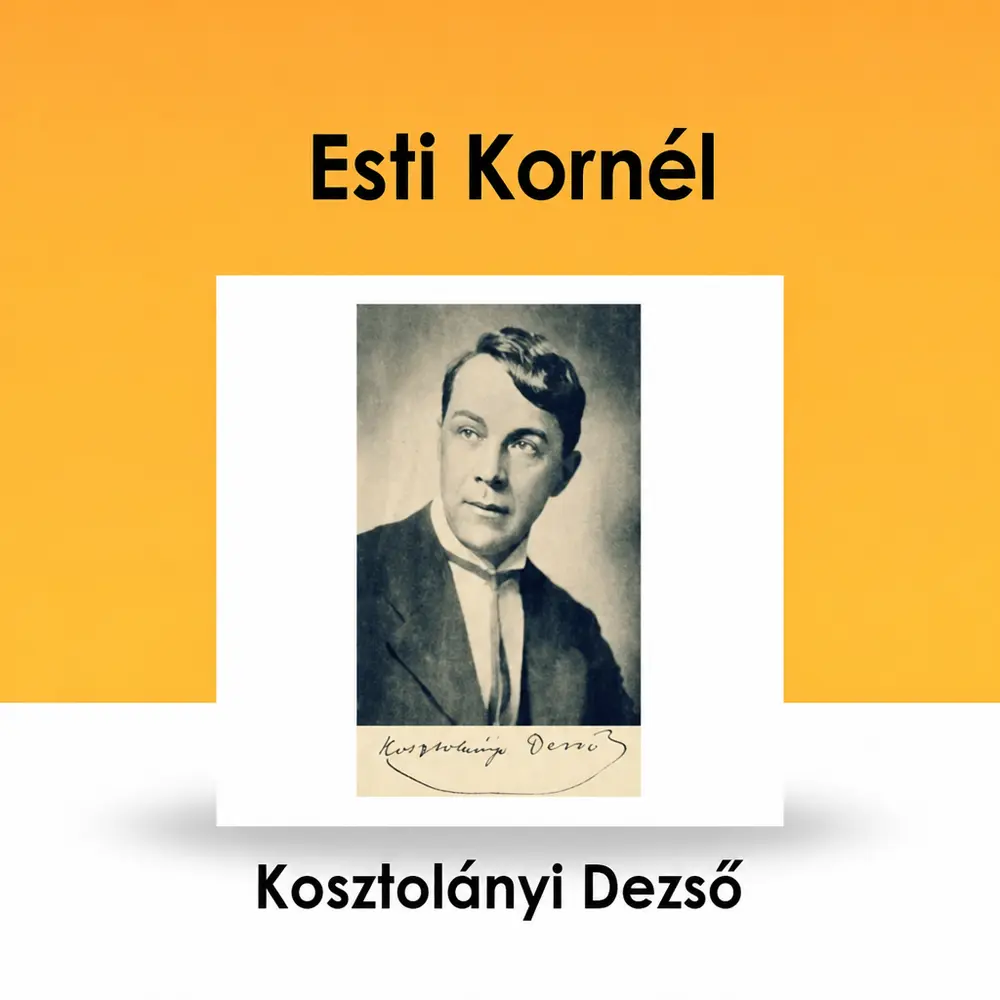 Esti Kornél könyv borító